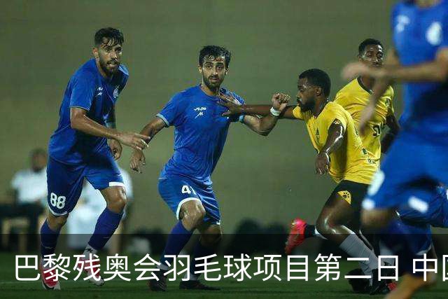巴黎残奥会羽毛球项目第二日 中国队取得14胜4负