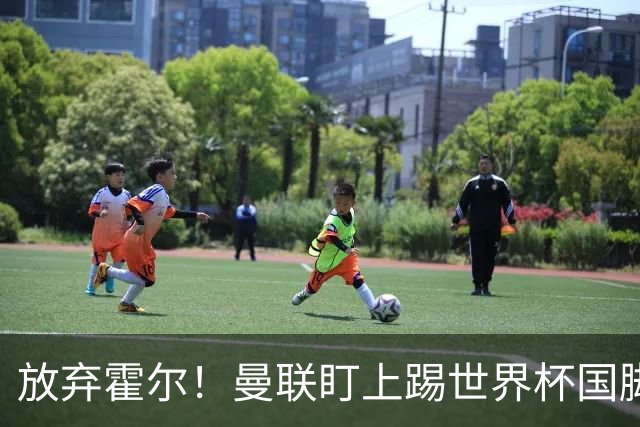 放弃霍尔！曼联盯上踢世界杯国脚，身价2500万，19岁小将迎来大考